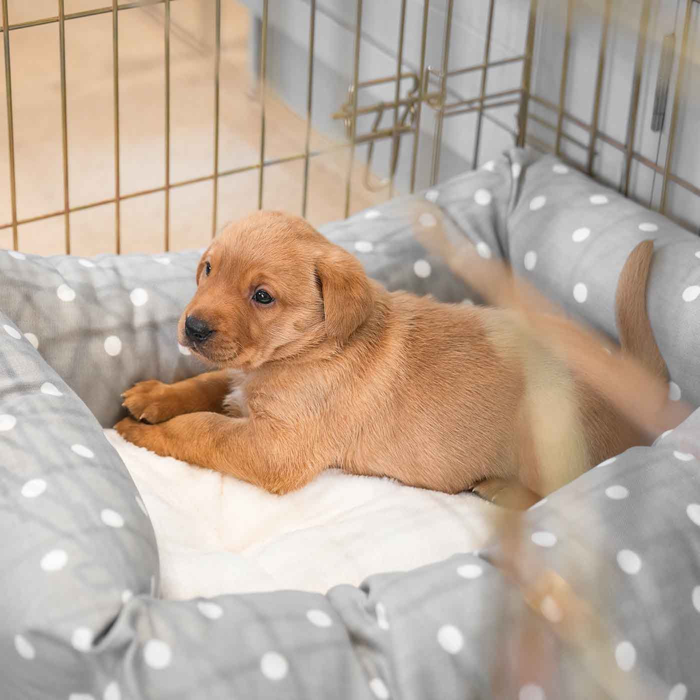 Cotton Cosy & Calming Puppy Bed | Luxury Crate Beds | Lords And ... - Puppy Crate Bed For Small Spaces