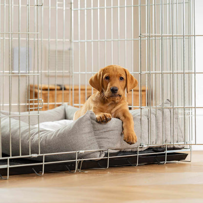 Inchmurrin Cosy & Calm Puppy Box Bed, The Perfect Dog Crate Bed For Pets! To Build The Ultimate Dog Den! In Dark Grey Inchmurrin Ground! Available To Personalise Now at Lords & Labradors