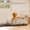 Dog Crate with Cosy & Calming Puppy Crate Bed in Inchmurrin Ground by Lords & Labradors