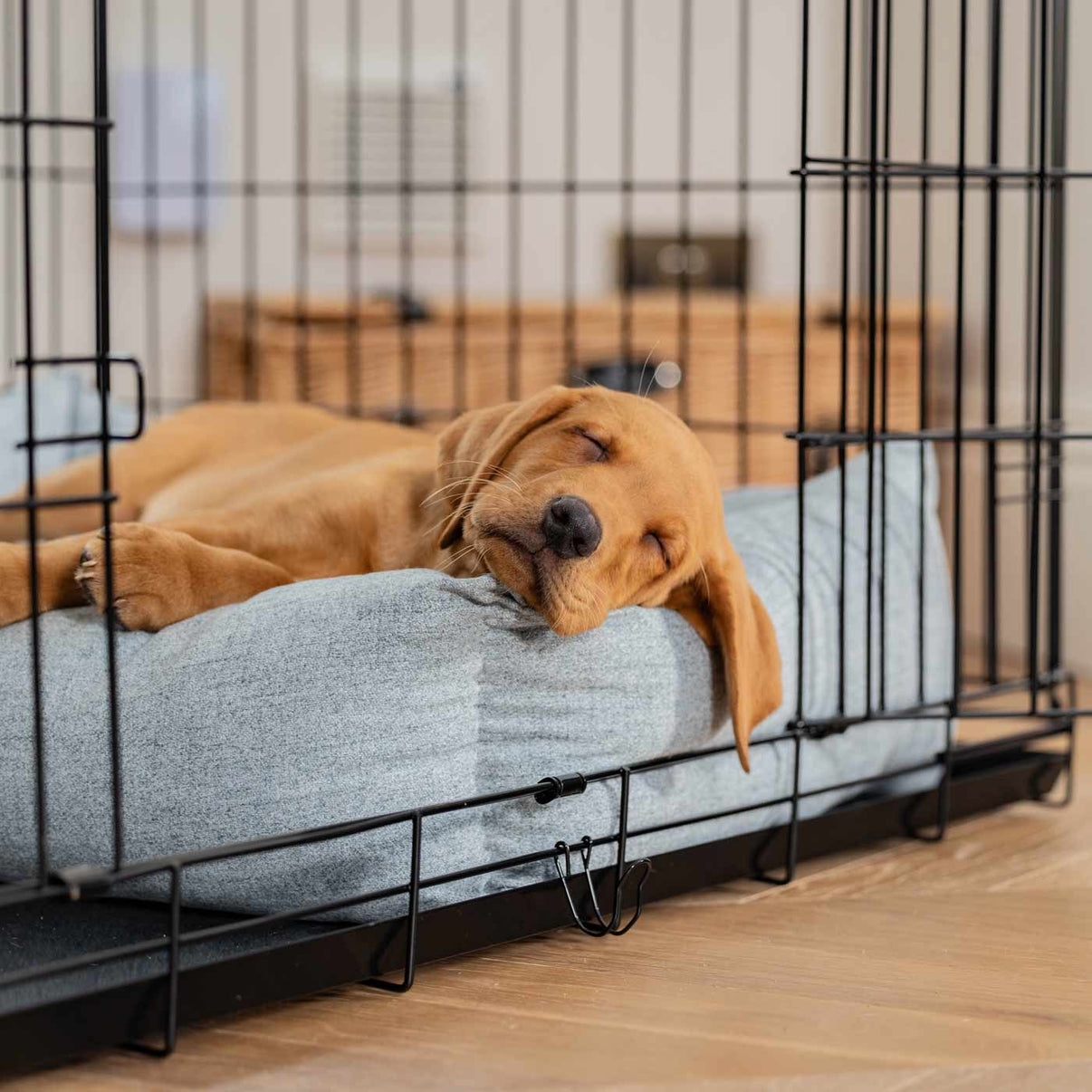 Dog Crate with Cosy & Calming Puppy Crate Bed in Inchmurrin Iceberg ... - Durable Calm Crate Dog Toys