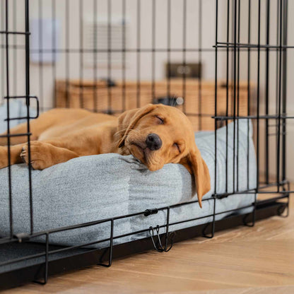 Dog Crate with Cosy & Calming Puppy Crate Bed in Inchmurrin Iceberg by Lords & Labradors