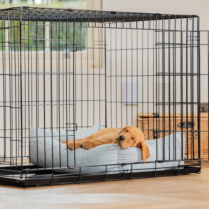 Fresh Look at Dog Crate With Cosy Calming Puppy Crate Bed In Inchmurrin
