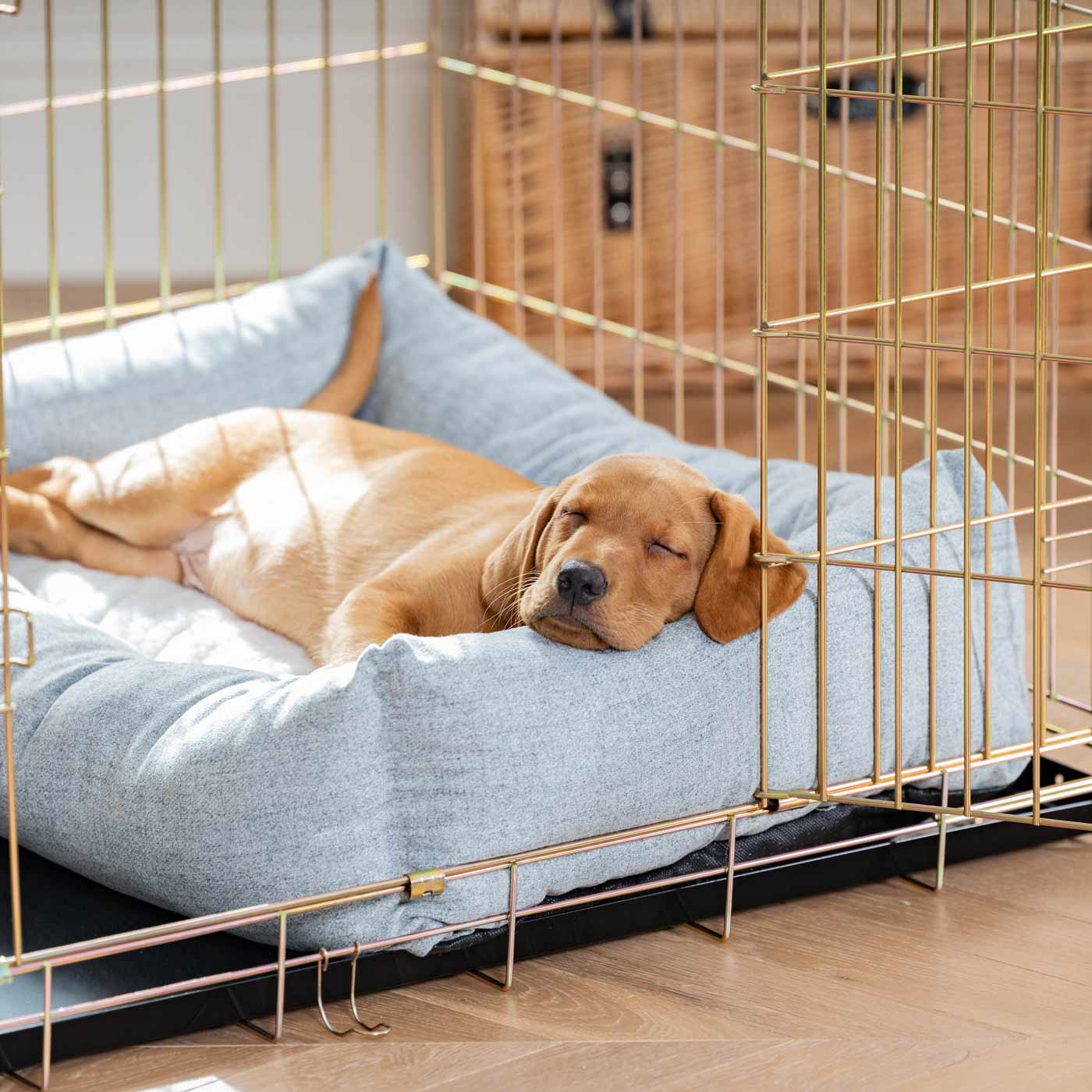 Inchmurrin Cosy & Calm Puppy Box Bed, The Perfect Dog Crate Bed For Pets! To Build The Ultimate Dog Den! In Light Grey Inchmurrin Iceberg! Available To Personalise Now at Lords & Labradors 