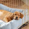 Cosy & Calming Puppy Crate Bed In Inchmurrin Iceberg By Lords & Labradors
