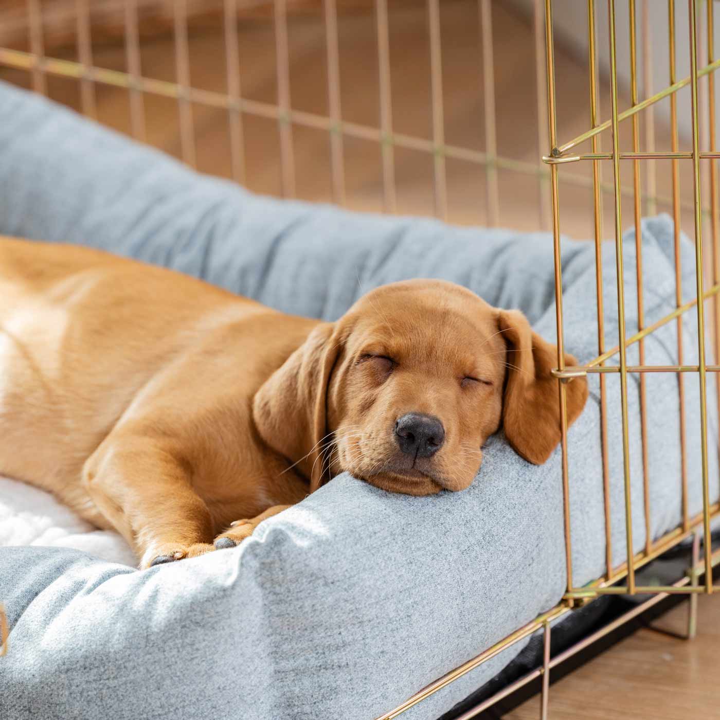 Cosy Calming Puppy Crate Bed With Removable Covers In Inchmurrin Iceberg by Lords Labradors