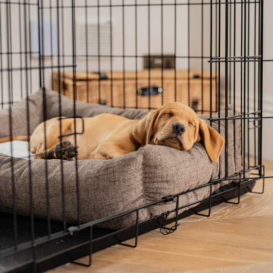 Inchmurrin Cosy & Calm Puppy Box Bed, The Perfect Dog Crate Bed For Pets! To Build The Ultimate Dog Den! In Brown Inchmurrin Ember! Available To Personalise Now at Lords & Labradors 