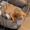 Cosy & Calming Puppy Crate Bed In Inchmurrin Umber By Lords & Labradors