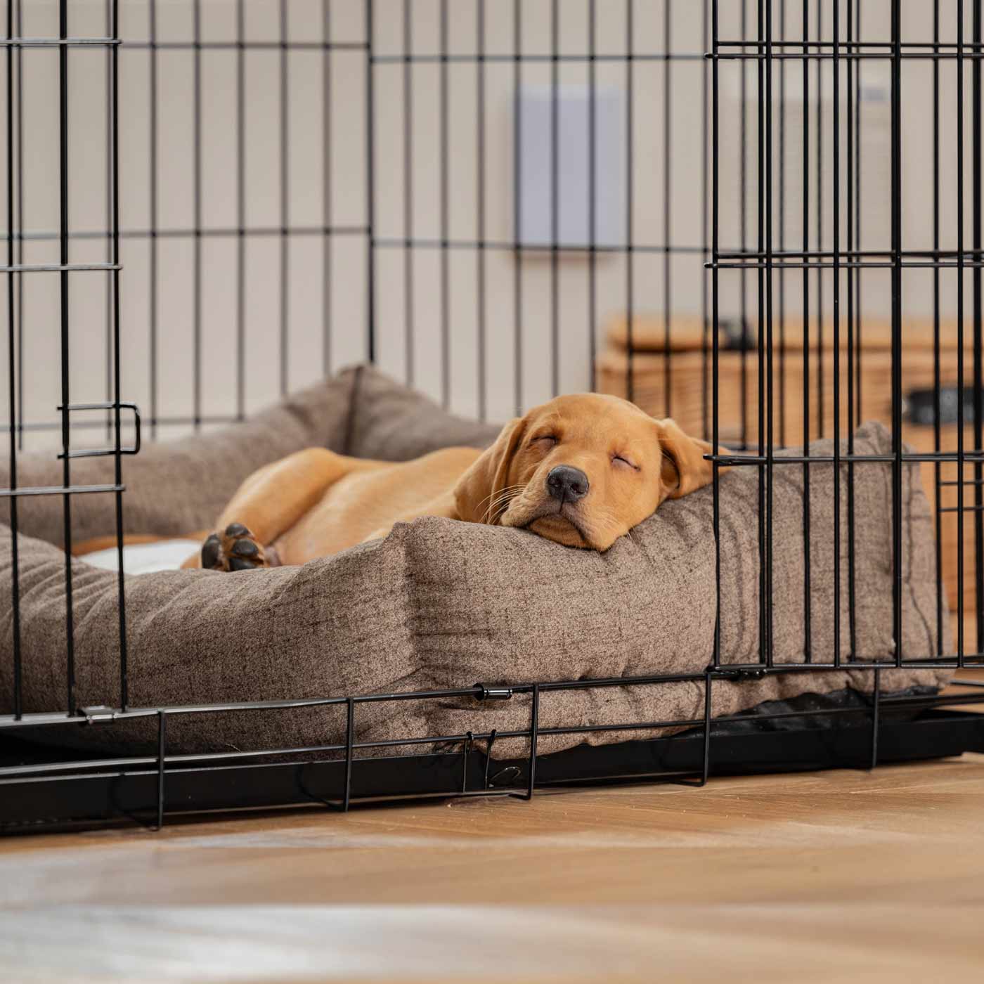 Inchmurrin Cosy & Calm Puppy Box Bed, The Perfect Dog Crate Bed For Pets! To Build The Ultimate Dog Den! In Brown Inchmurrin Ember! Available To Personalise Now at Lords & Labradors 