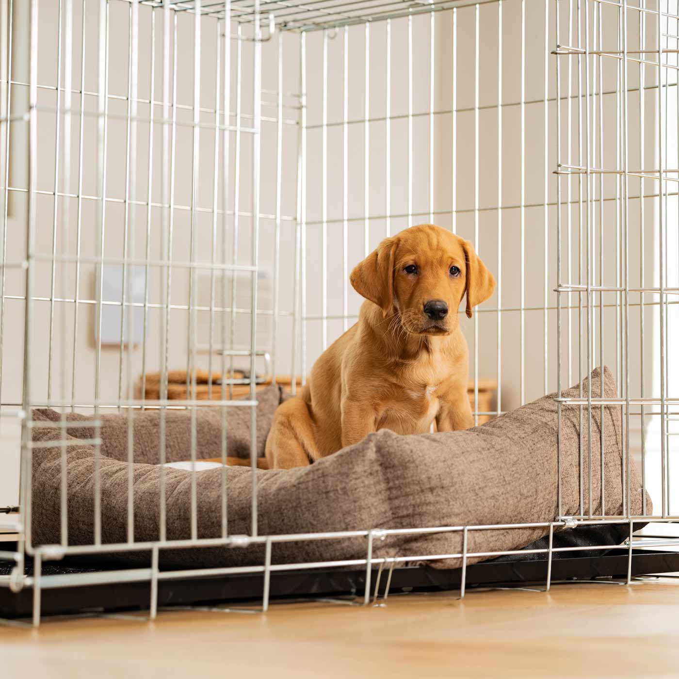 Dog Crate with Cosy & Calming Puppy Crate Bed in Inchmurrin Umber by Lords & Labradors