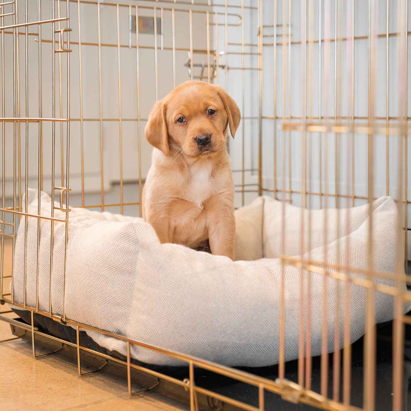 Discover Our Heavy-Duty Dog Crate With Natural Herringbone Cosy & Calming Puppy Crate Bed Set! The Perfect Crate Bed For Pet Burrow. Available To Personalise Here at Lords & Labradors 