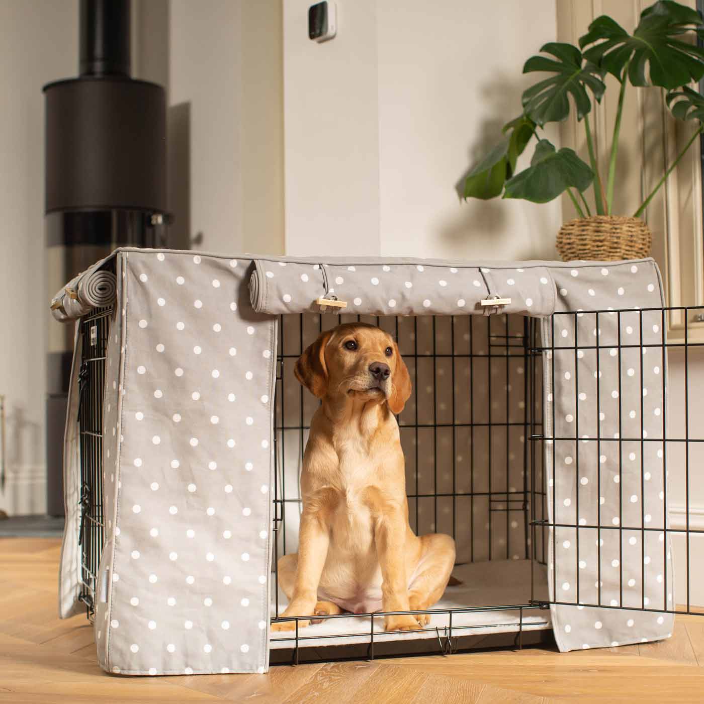 Puppy Crate Second Choice Sale photo