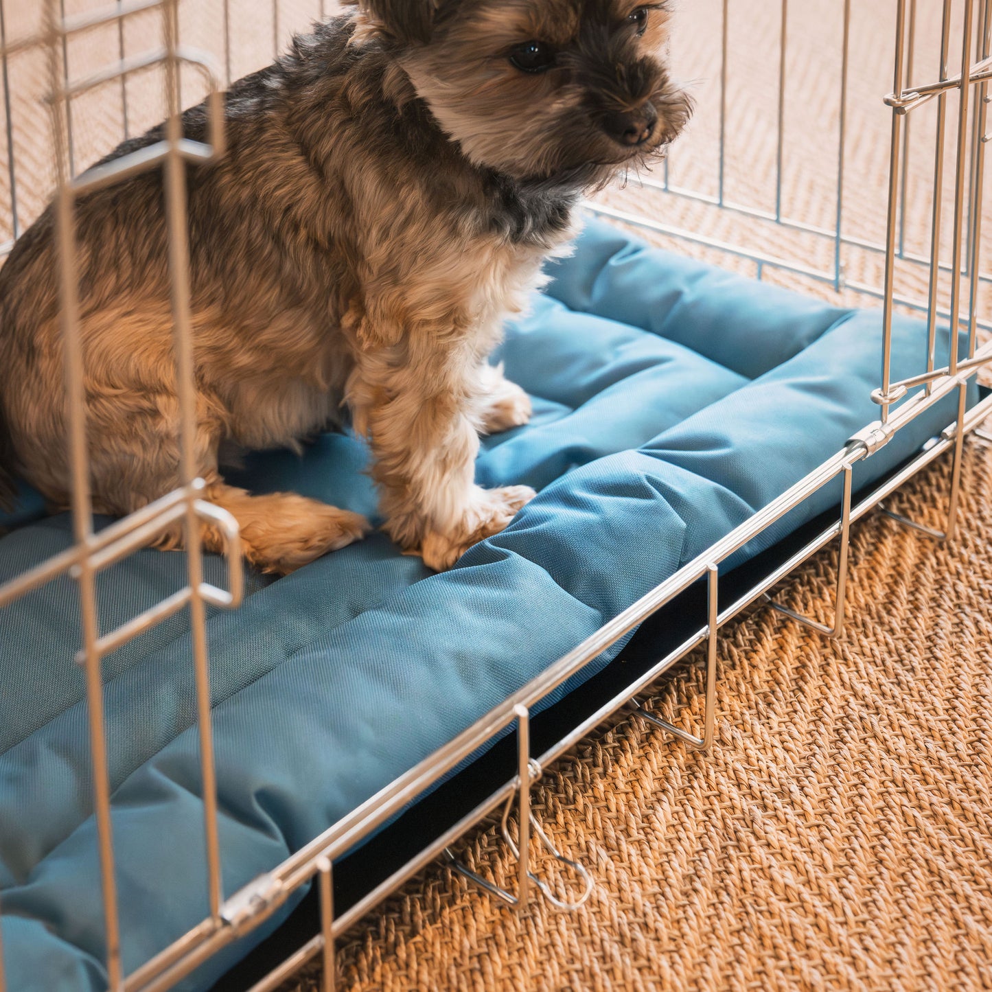 Luxury Dog Crate Maze Mat, in Ocean. Padded For Extra Comfort And Compatibile With Lords & Labradors Metal Dog Crates, Available Now!