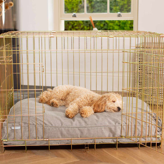 Add a spare cover for your dog cushion in stunning Inchmurrin Ground, protect your pups paws with our breathable, waterproof interlining! Available in 3 colours, and 5 sizes to personalise now at Lords & Labradors