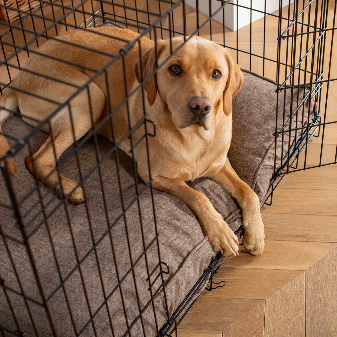 Add a spare cover for your dog cushion in stunning Inchmurrin Umber, protect your pups paws with our breathable, waterproof interlining! Available in 3 colours, and 5 sizes to personalise now at Lords & Labradors