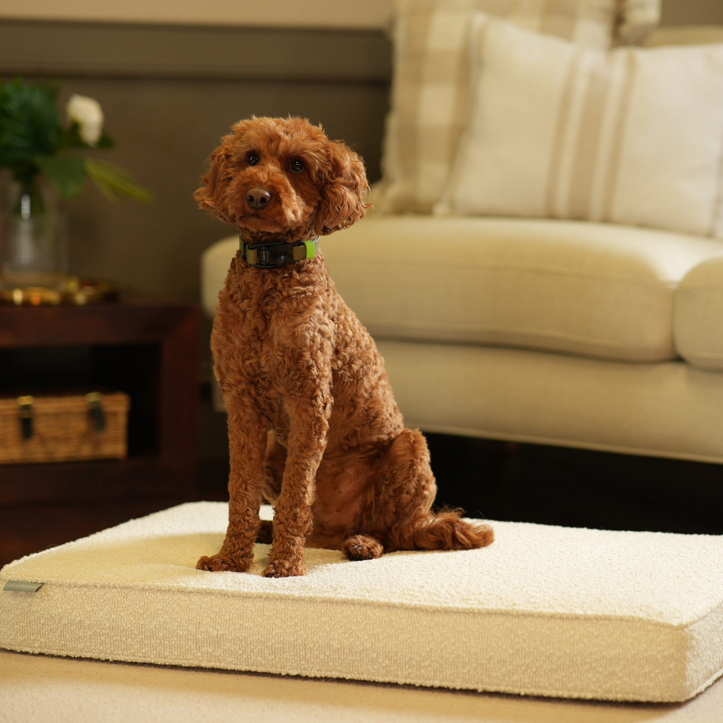 Dog Cushion in Ivory Bouclé by Lords & Labradors