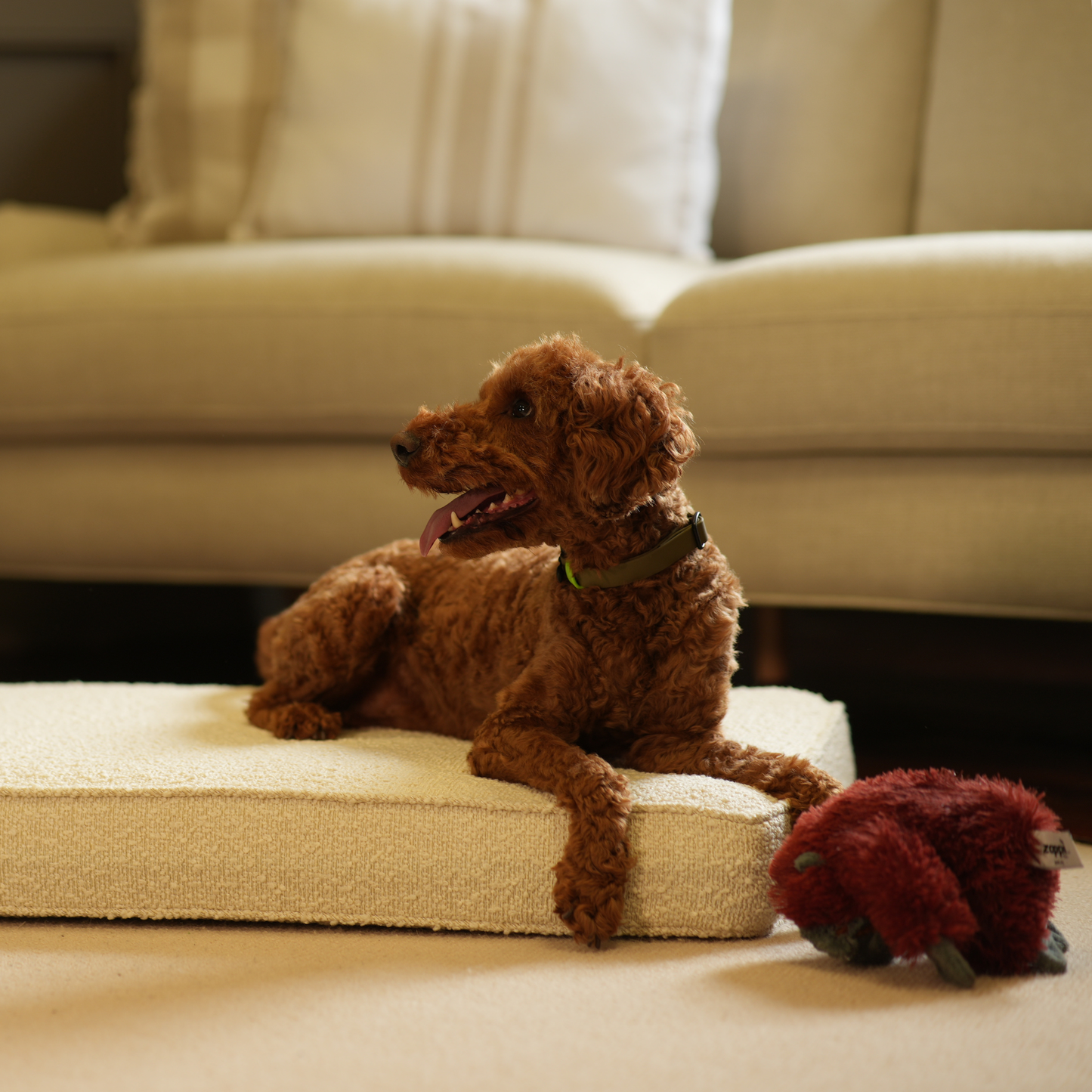 Dog Cushion in Ivory Bouclé by Lords & Labradors