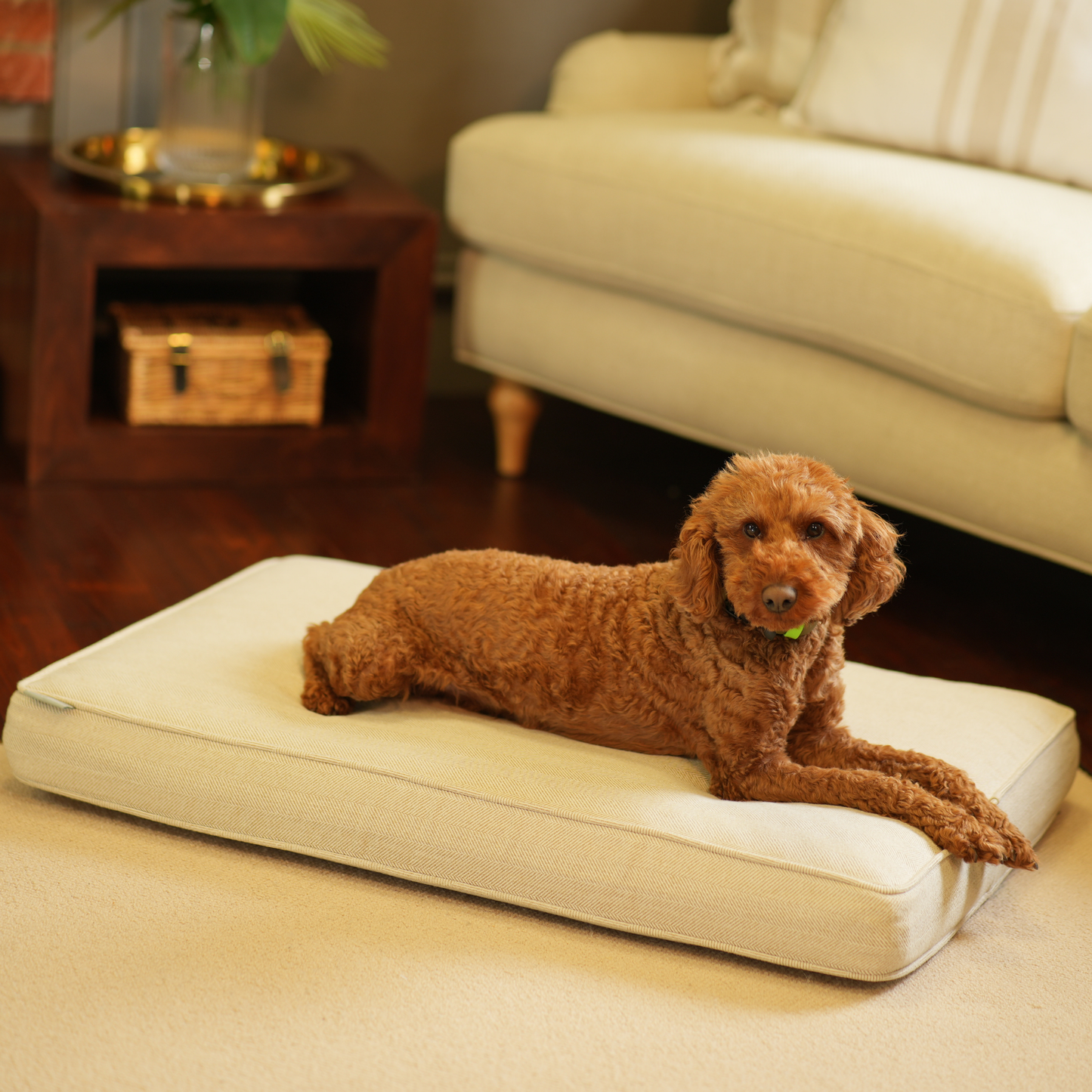 Dog Cushion in Natural Herringbone Tweed by Lords & Labradors