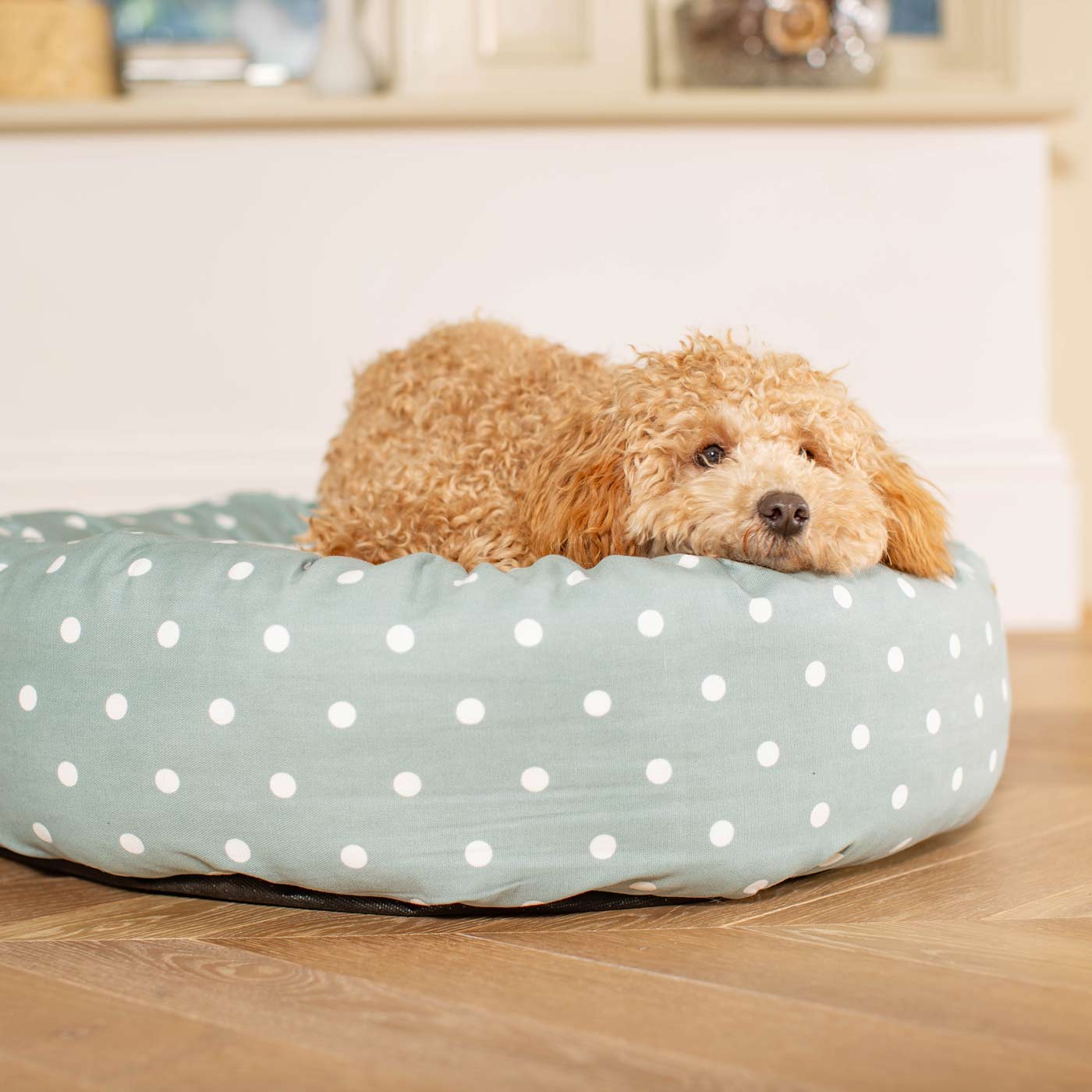 Discover Our Handmade Luxury Donut Dog Bed, In Duck Egg Spot, The Perfect Choice For Puppies Available Now at Lords & Labradors 