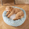 Donut Bed in Duck Egg Spot by Lords & Labradors