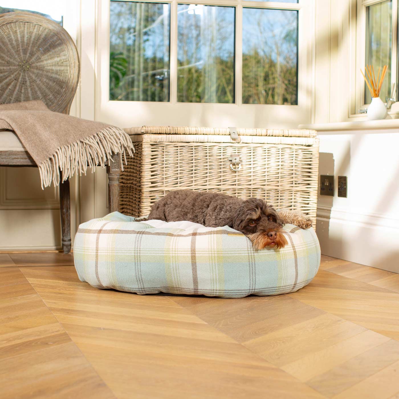 Discover Our Handmade Luxury Donut Dog Bed, In Duck Egg Tweed, The Perfect Choice For Puppies Available Now at Lords & Labradors 