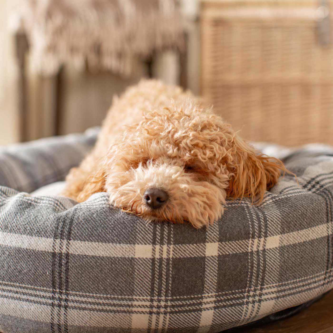 Discover Our Handmade Luxury Donut Dog Bed, In Dove Grey Tweed, The Perfect Choice For Puppies Available Now at Lords & Labradors