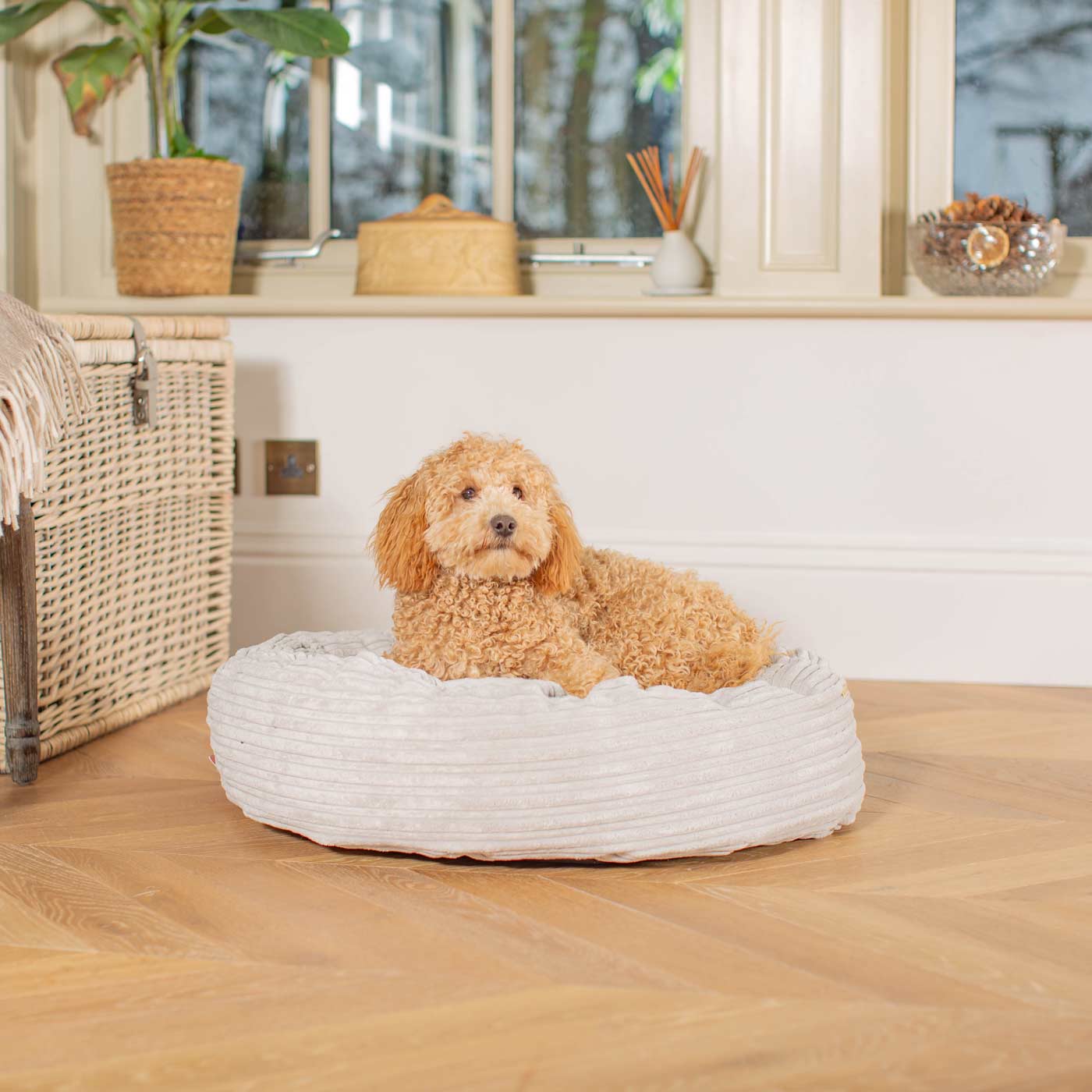 Discover Our Handmade Luxury Donut Dog Bed, In Light Grey Essentials Plush, The Perfect Choice For Puppies Available Now at Lords & Labradors