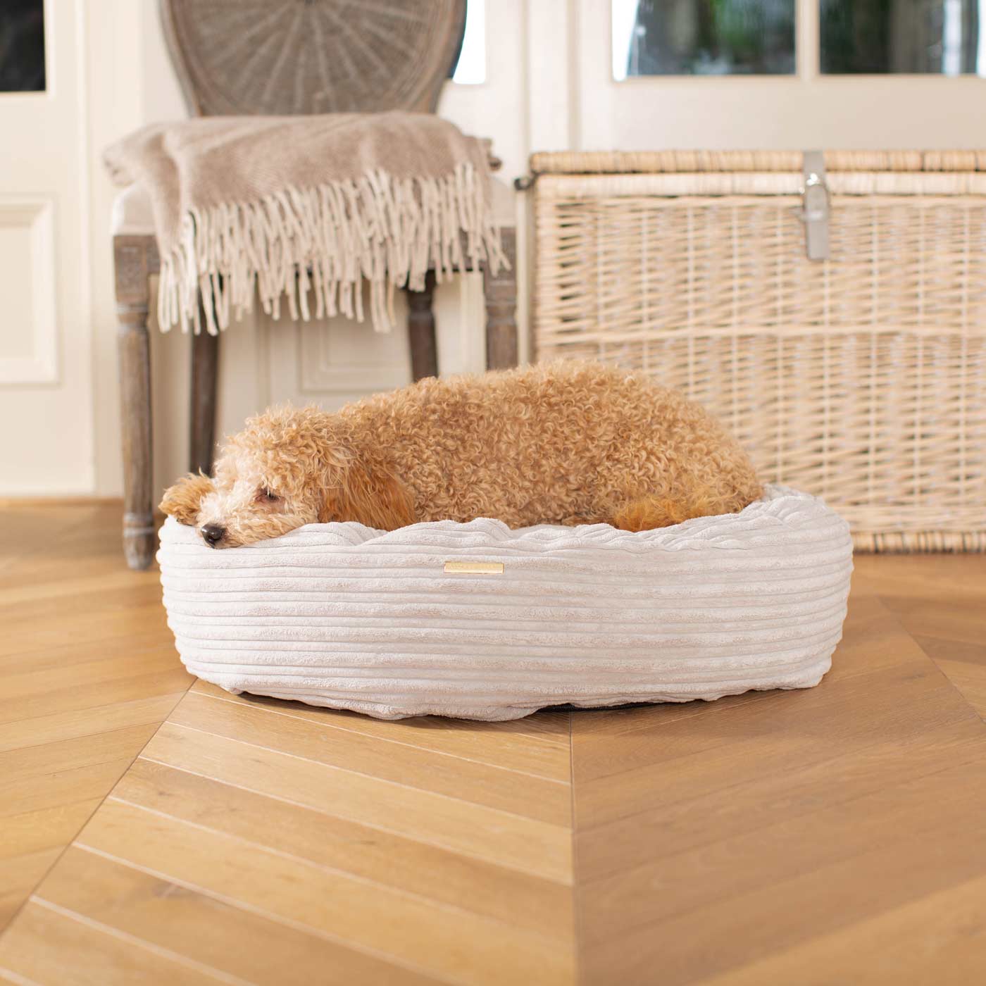 Discover Our Handmade Luxury Donut Dog Bed, In Light Grey Essentials Plush, The Perfect Choice For Puppies Available Now at Lords & Labradors