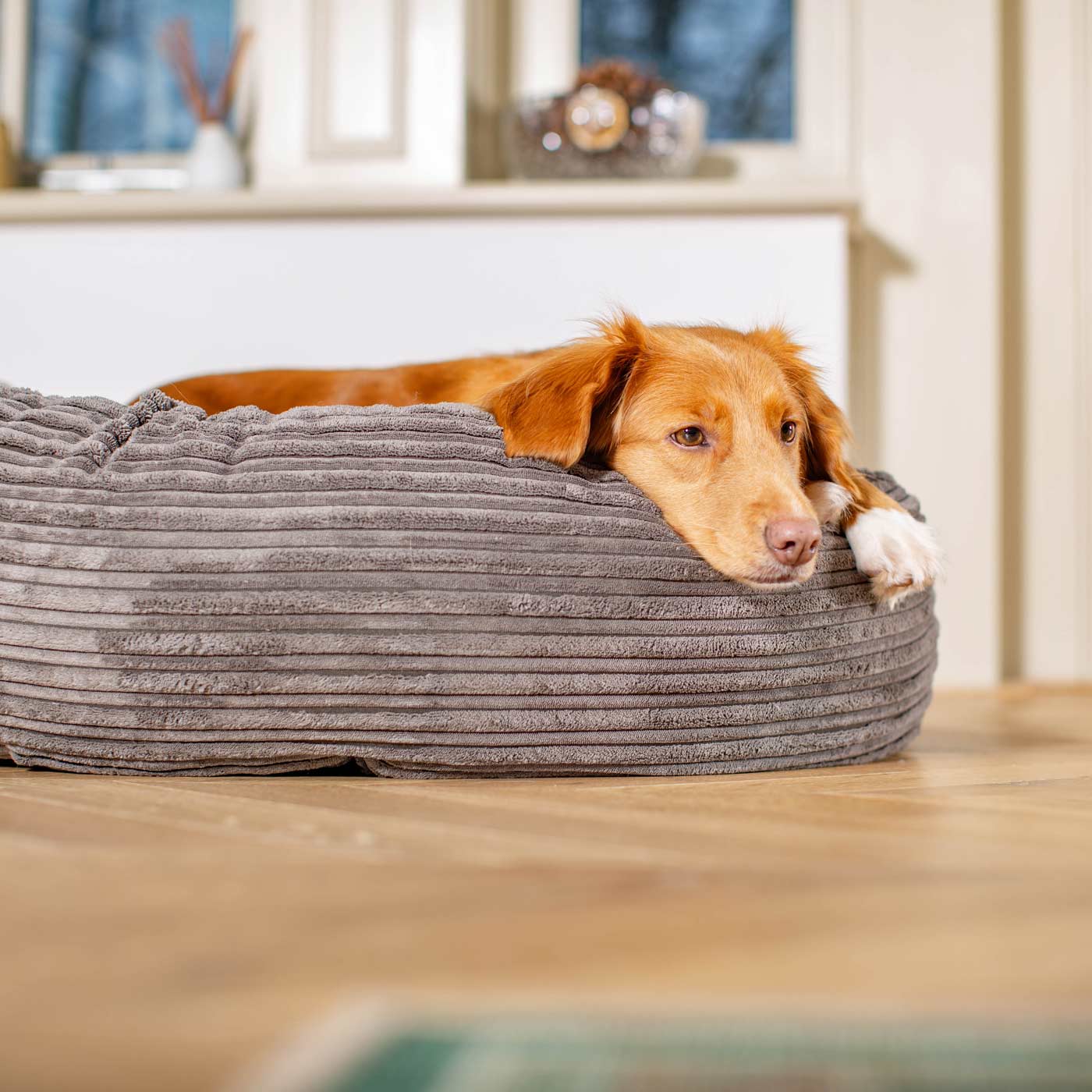 Discover Our Handmade Luxury Donut Dog Bed, In Dark Grey Essentials Plush, The Perfect Choice For Puppies Available Now at Lords & Labradors
