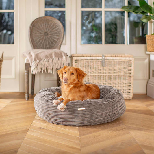 Discover Our Handmade Luxury Donut Dog Bed, In Dark Grey Essentials Plush, The Perfect Choice For Puppies Available Now at Lords & Labradors