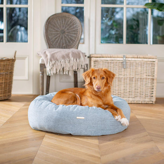 Donut Bed in Inchmurrin Iceberg By Lords & Labradors