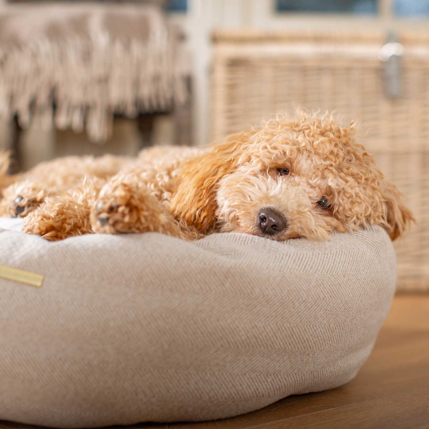 Discover Our Handmade Luxury Donut Dog Bed, In Natural Herringbone Tweed, The Perfect Choice For Puppies Available Now at Lords & Labradors
