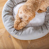 Donut Bed in Savanna Stone by Lords & Labradors