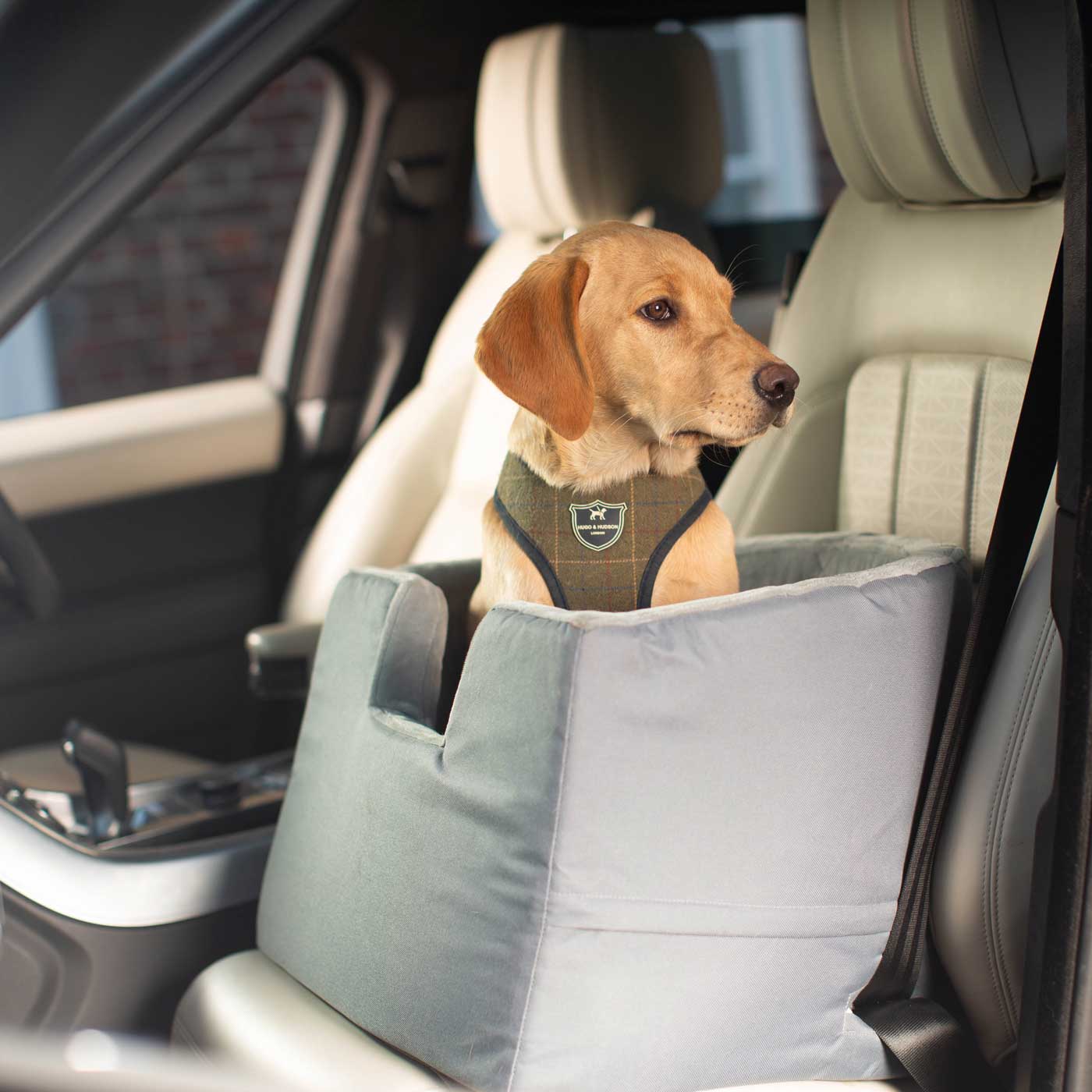 Lords & Labradors Dog Car Booster Seat
