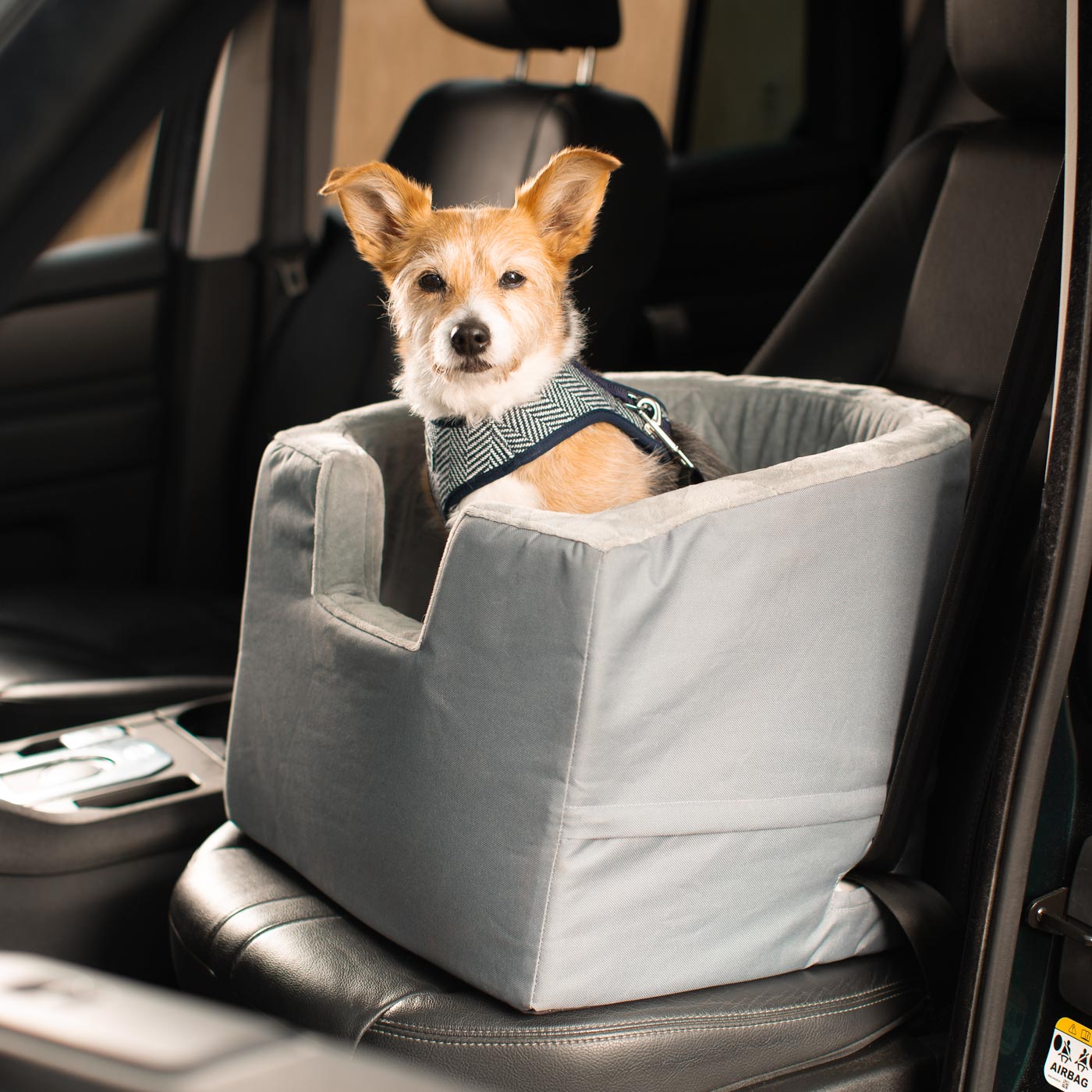 Embark on the perfect pet travel with our luxury car booster seat! Featuring removable cushion with foam padding for extra comfort! Available now at Lords & Labradors       