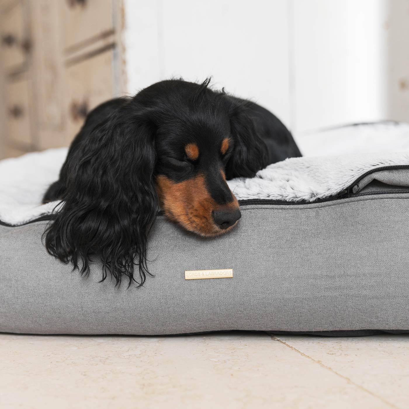 Dog beds for dogs that like to dig hotsell