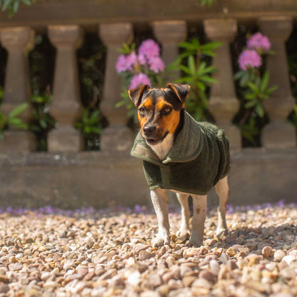 Introducing the ultimate bamboo dog drying coat in beautiful fir green, made from luxurious bamboo to aid sensitive skin featuring adjustable Velcro neck and waist fastening with super absorbent material for easy pet drying! Available now at Lords & Labradors In five sizes and four colours to suit all breeds!    