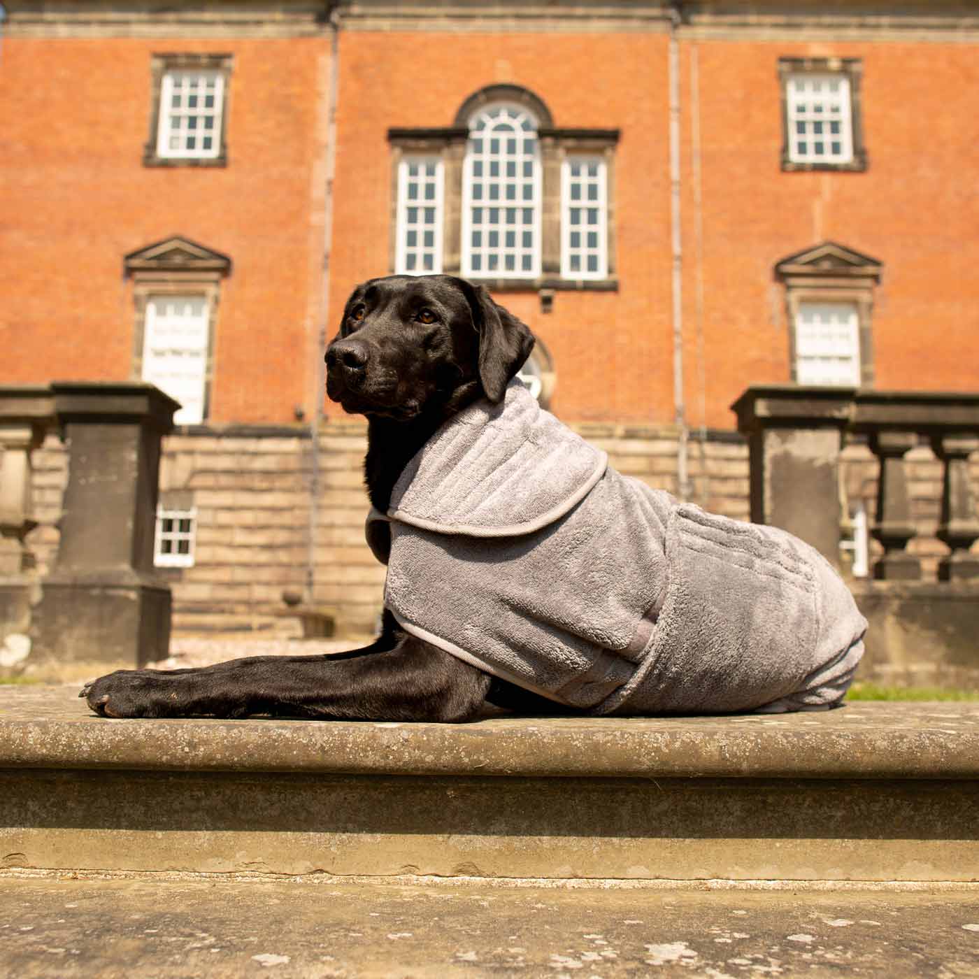 Introducing the ultimate bamboo dog drying coat in beautiful grey Gun Metal, made from luxurious bamboo to aid sensitive skin featuring adjustable Velcro neck and waist fastening with super absorbent material for easy pet drying! Available now at Lords & Labradors In five sizes and four colours to suit all breeds! 