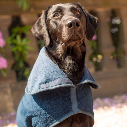Discover the perfect dog drying with our bamboo dog drying coat, The ideal choice for pet drying after walking and bath-time. Made using luxurious bamboo to aid sensitive skin! Available to personalise now at Lords & Labradors in 5 sizes and 4 beautiful colours!