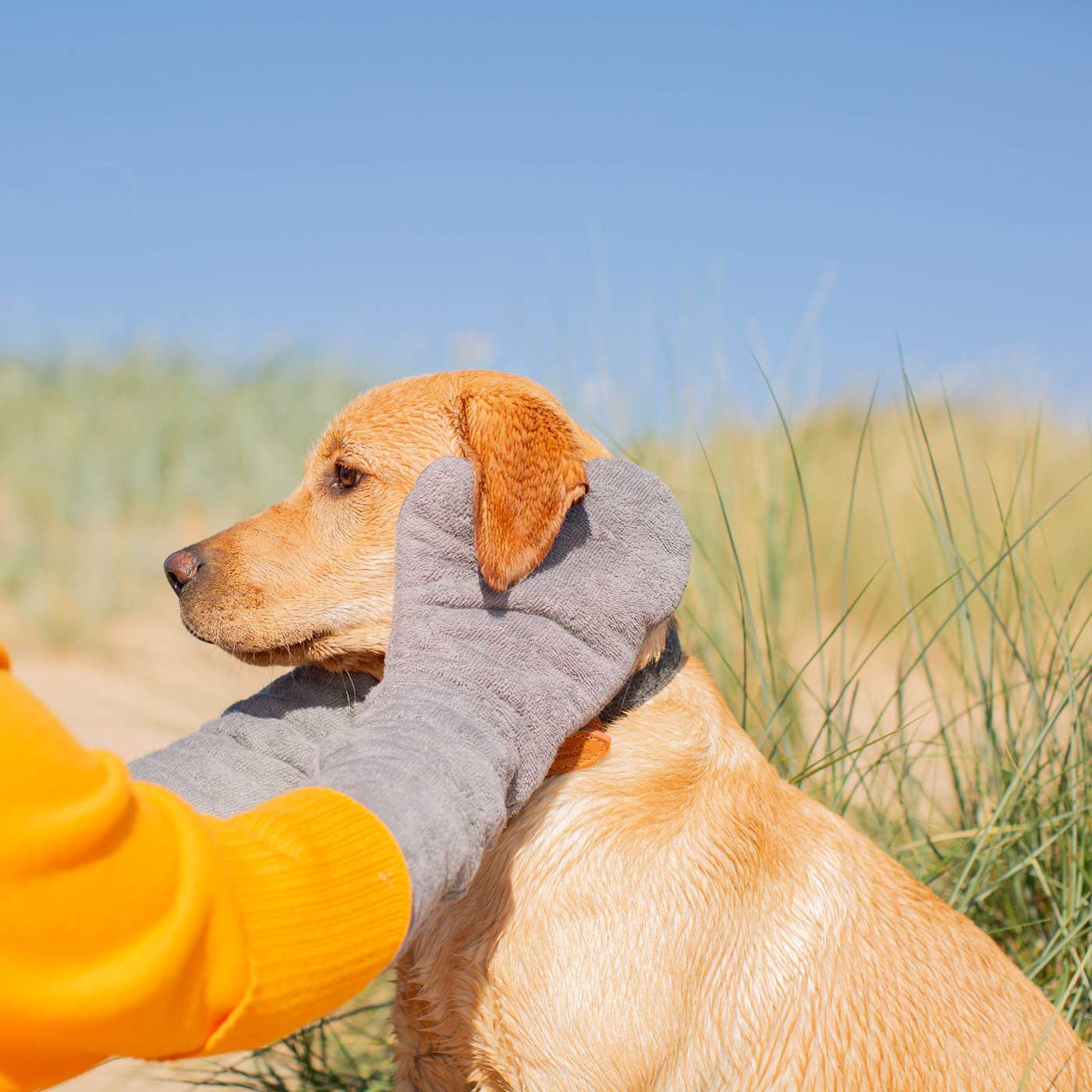 Introducing the ultimate bamboo dog drying mitts in beautiful grey Gun Metal, made from luxurious bamboo to aid sensitive skin featuring universal size to fit all with super absorbent material for easy pet drying! The perfect dog drying gloves, available now at Lords & Labradors In four colours! 