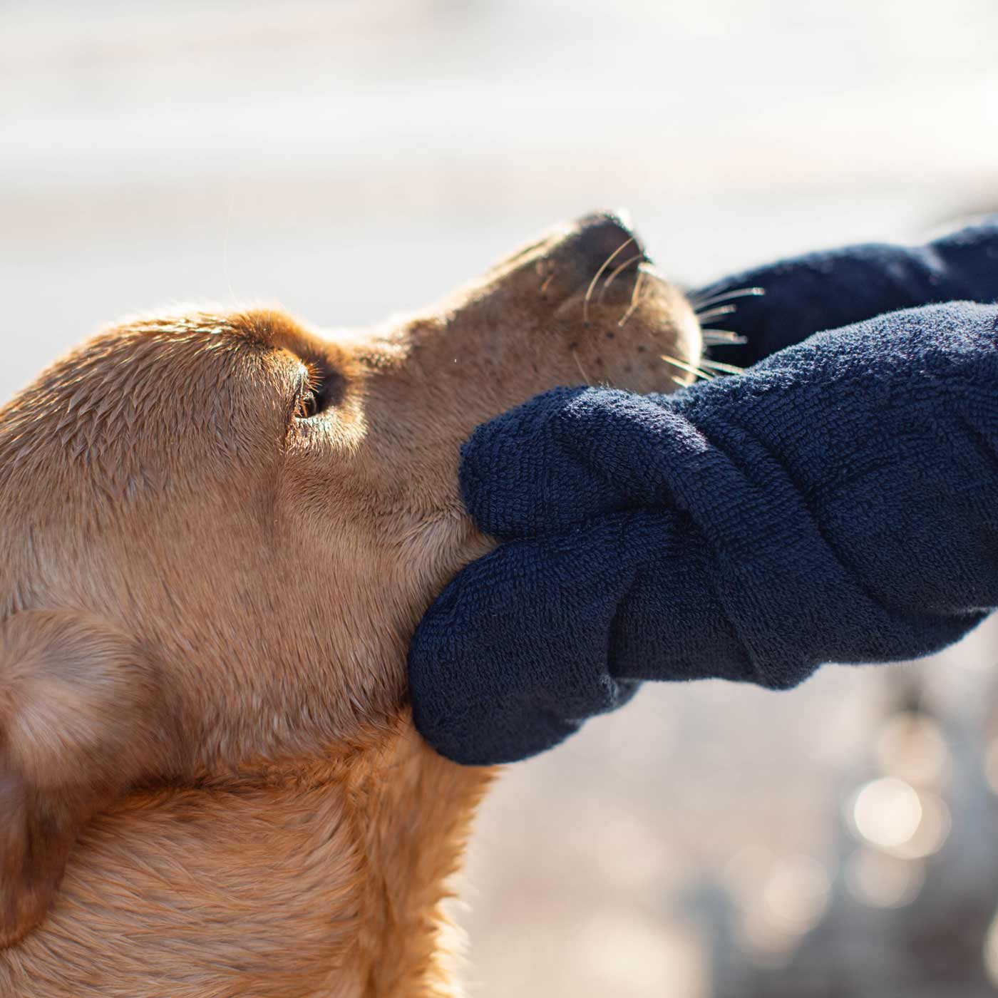 Introducing the ultimate bamboo dog drying mitts in beautiful Navy, made from luxurious bamboo to aid sensitive skin featuring universal size to fit all with super absorbent material for easy pet drying! The perfect dog drying gloves, available now at Lords & Labradors, In four colours!