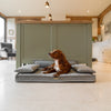 Execu-Sofa in Ash by Lords & Labradors