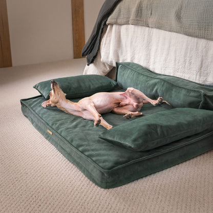 Introducing our luxury dog sofa in stunning dark green olive, featuring squishy foam inner for maximum comfort and removable arms to adjust your dog’s sleeping preference! The perfect sofa for dogs available now at Lords & Labradors    