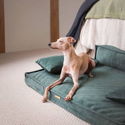 Introducing our luxury dog sofa in stunning dark green olive, featuring squishy foam inner for maximum comfort and removable arms to adjust your dog’s sleeping preference! The perfect sofa for dogs available now at Lords & Labradors    