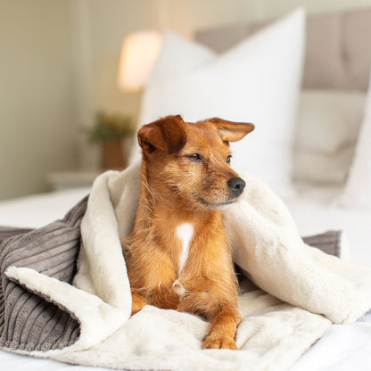 Dog & Puppy Dark Grey Essentials Plush Blanket By Lords & Labradors