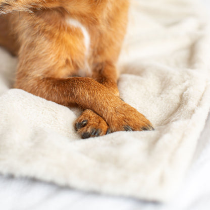 Dog & Puppy Light Grey Essentials Plush Blanket By Lords & Labradors
