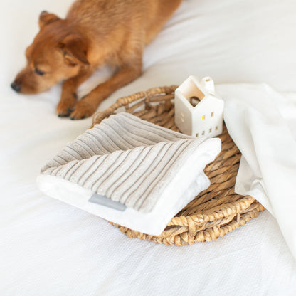 Discover our Puppy Scent Blanket in Light Grey Essentials Plush. Perfect to help settle in a new puppy. Give to puppy whilst they are with mum to bring the scent of mum with them, this is great to help relax your puppy Smooths the ‘moving home’ process. Made from plush ribbed fabric and super soft sherpa/faux fur. now available at Lords and Labradors