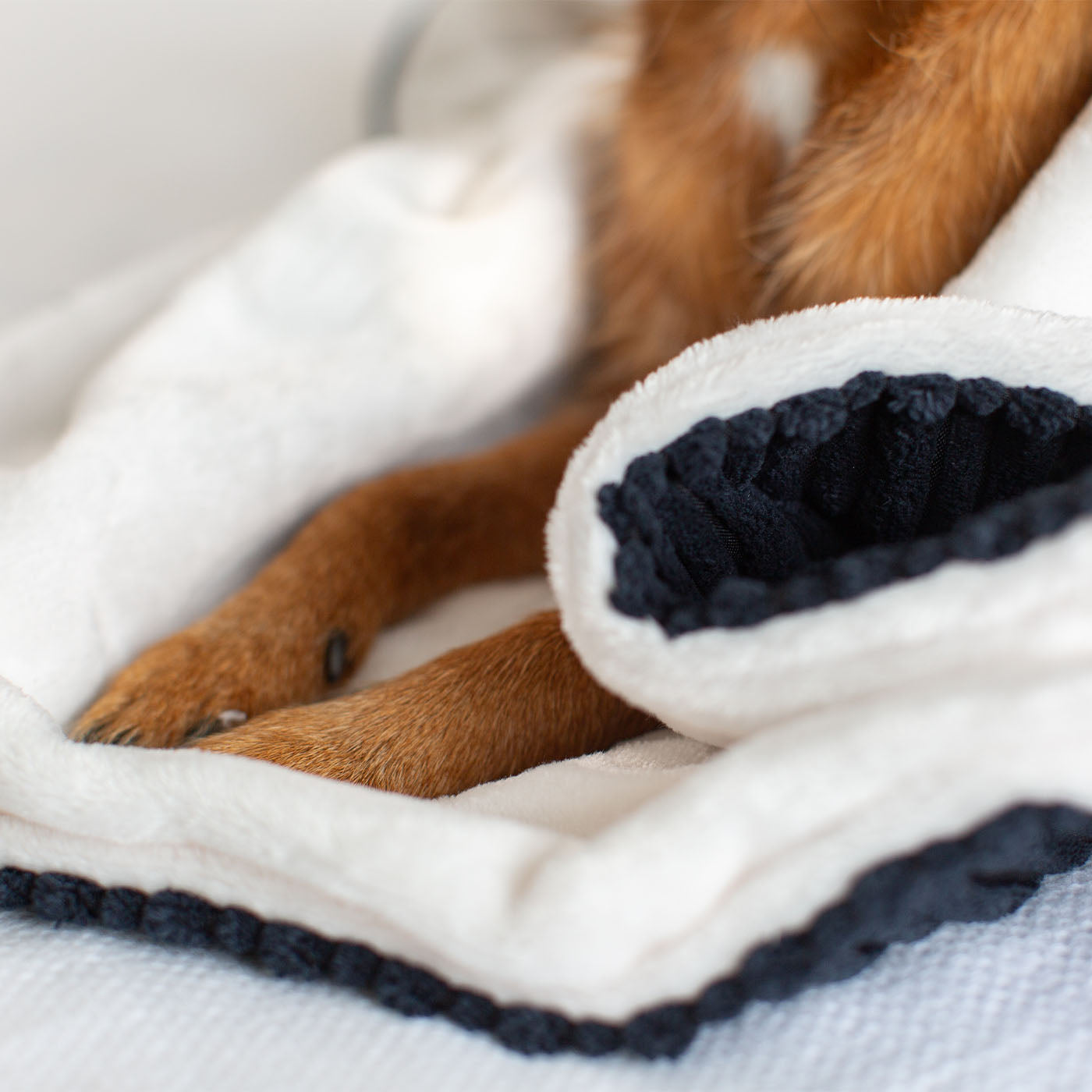  Discover Our Luxurious Navy Essentials Plush Dog Blanket With Super Soft Sherpa & Teddy Fleece, The Perfect Blanket For Puppies, Available To Personalise And In 2 Sizes Here at Lords & Labradors