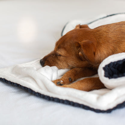  Discover Our Luxurious Navy Essentials Plush Dog Blanket With Super Soft Sherpa & Teddy Fleece, The Perfect Blanket For Puppies, Available To Personalise And In 2 Sizes Here at Lords & Labradors