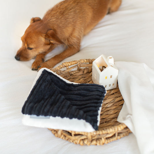 Puppy Scent Blanket in Navy Essentials Plush and Sherpa Fleece