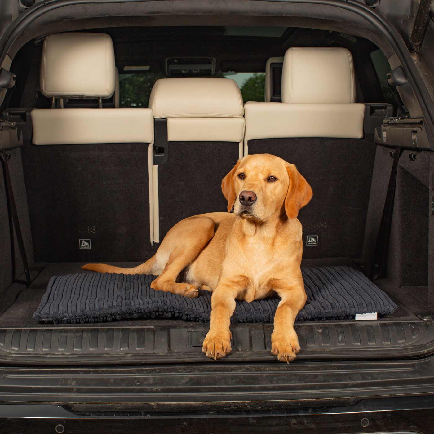 Lords & Labradors Travel Mat in Essentials Navy